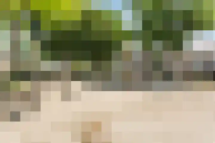 Smeleweg 9 Waalre thumbnail 34