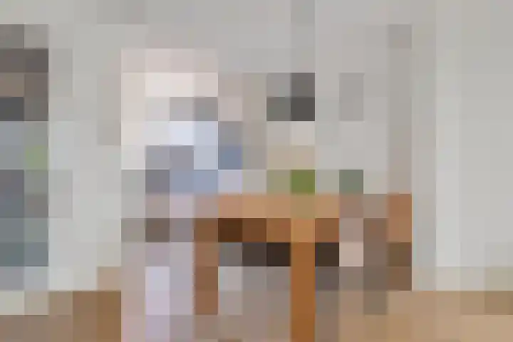 Smellekenlaan 32 Venray thumbnail 10