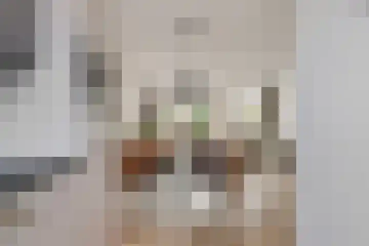 Smellekenlaan 32 Venray thumbnail 13