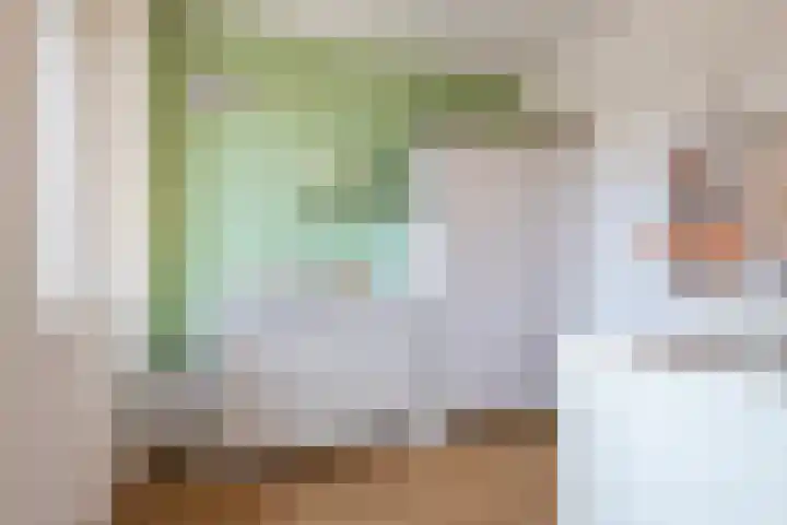 Smellekenlaan 32 Venray thumbnail 15