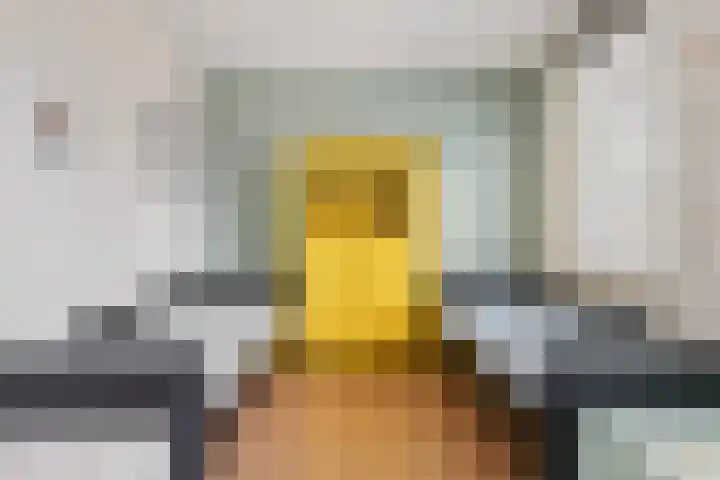 Smellekenlaan 32 Venray thumbnail 18