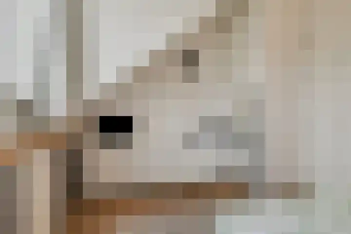 Smellekenlaan 32 Venray thumbnail 23