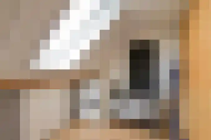 Smellekenlaan 32 Venray thumbnail 24