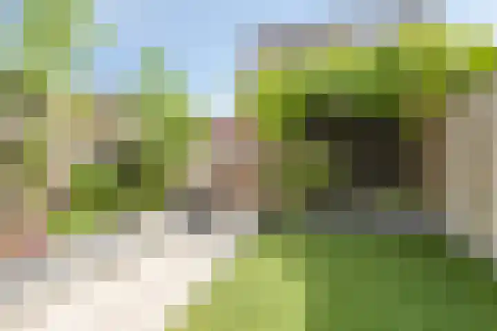 Smellekenlaan 32 Venray thumbnail 29