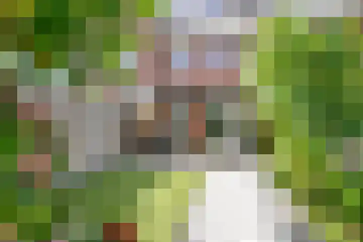 Smellekenlaan 32 Venray thumbnail 30