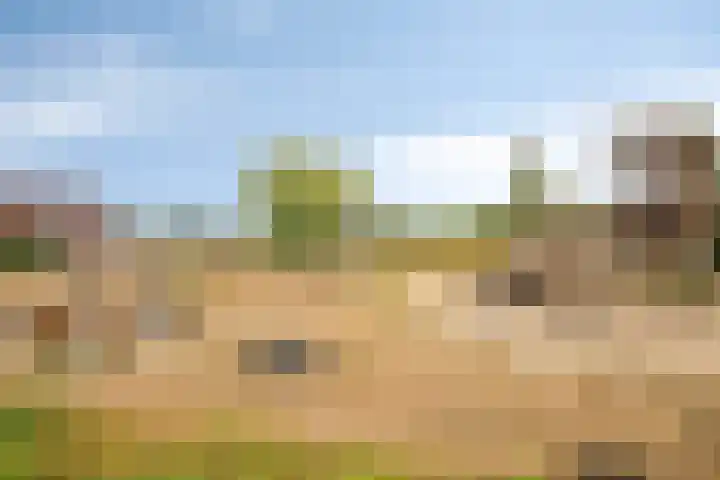 Smellekenlaan 32 Venray thumbnail 34