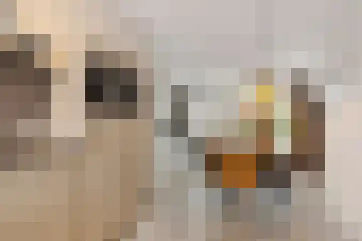 Smellekenlaan 33 Venray thumbnail 15