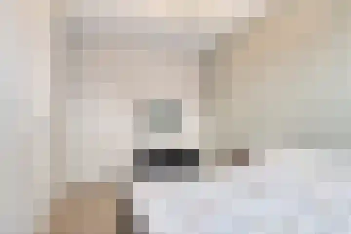 Smellekenlaan 33 Venray thumbnail 18