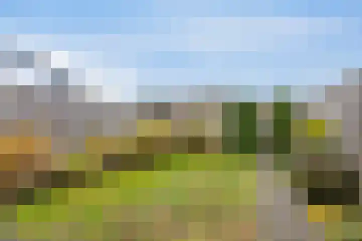 Smellekenlaan 33 Venray thumbnail 27