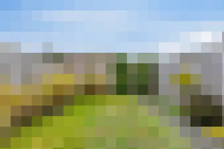 Smellekenlaan 33 Venray thumbnail 30