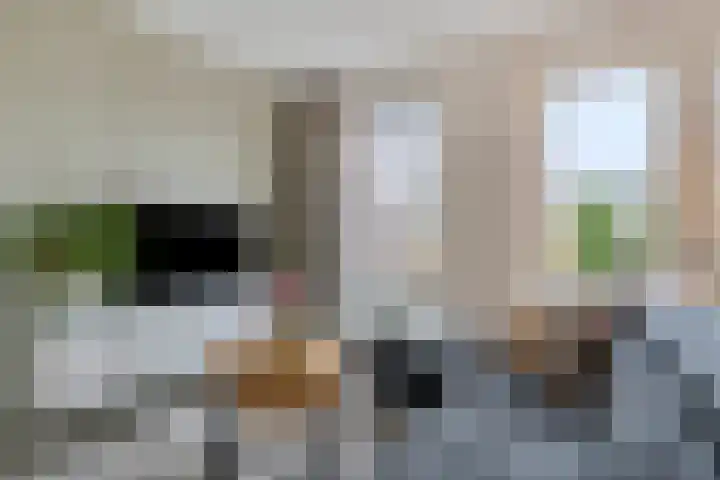 Smellekenlaan 33 Venray thumbnail 8
