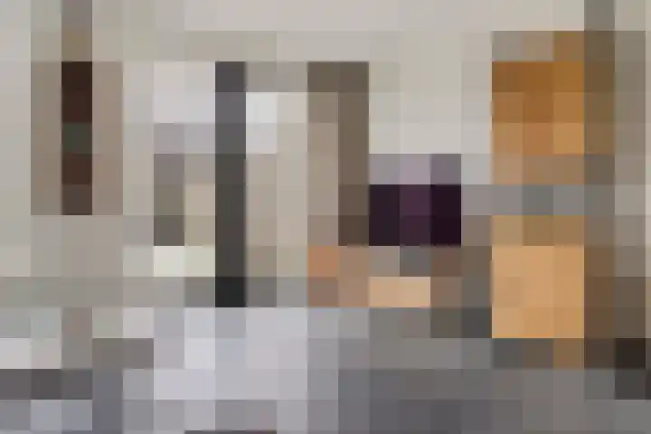Smellekenlaan 48 Venray thumbnail 12