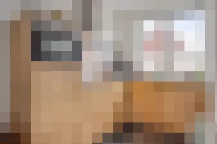 Smellekenlaan 48 Venray thumbnail 14