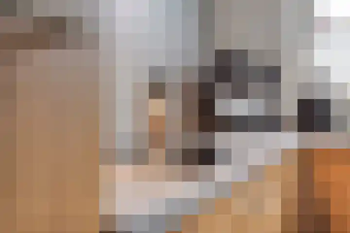 Smellekenlaan 48 Venray thumbnail 16