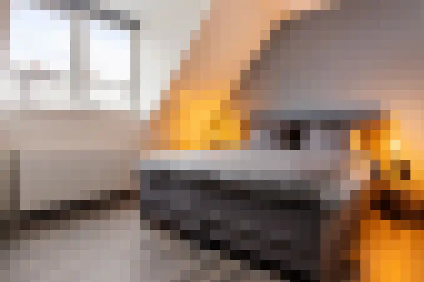 Smellekenlaan 48 Venray thumbnail 21