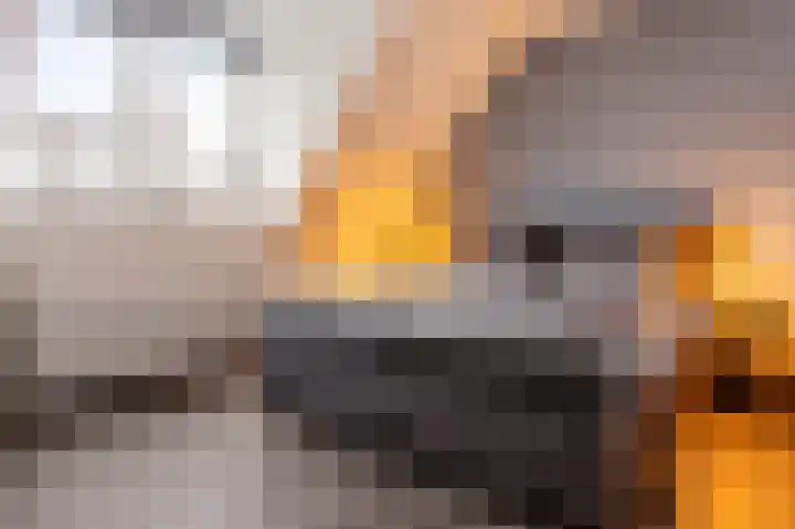Smellekenlaan 48 Venray thumbnail 21