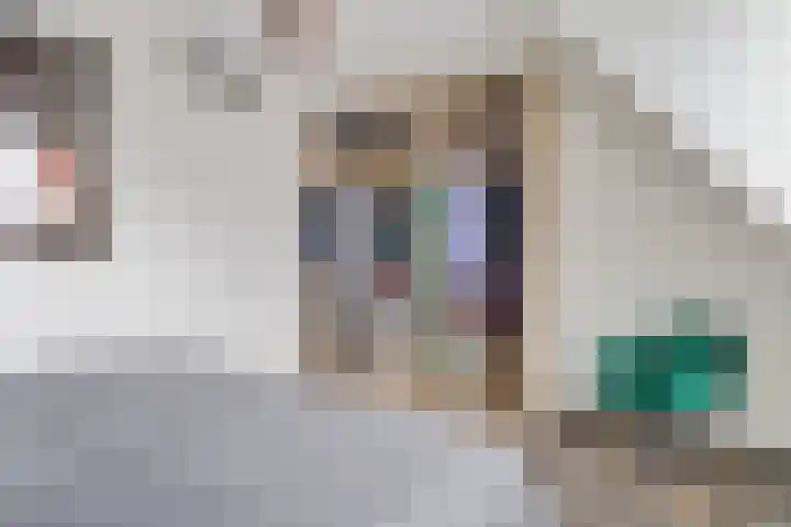 Smellekenlaan 48 Venray thumbnail 23