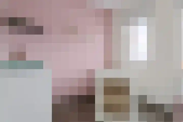 Smellekenlaan 48 Venray thumbnail 25