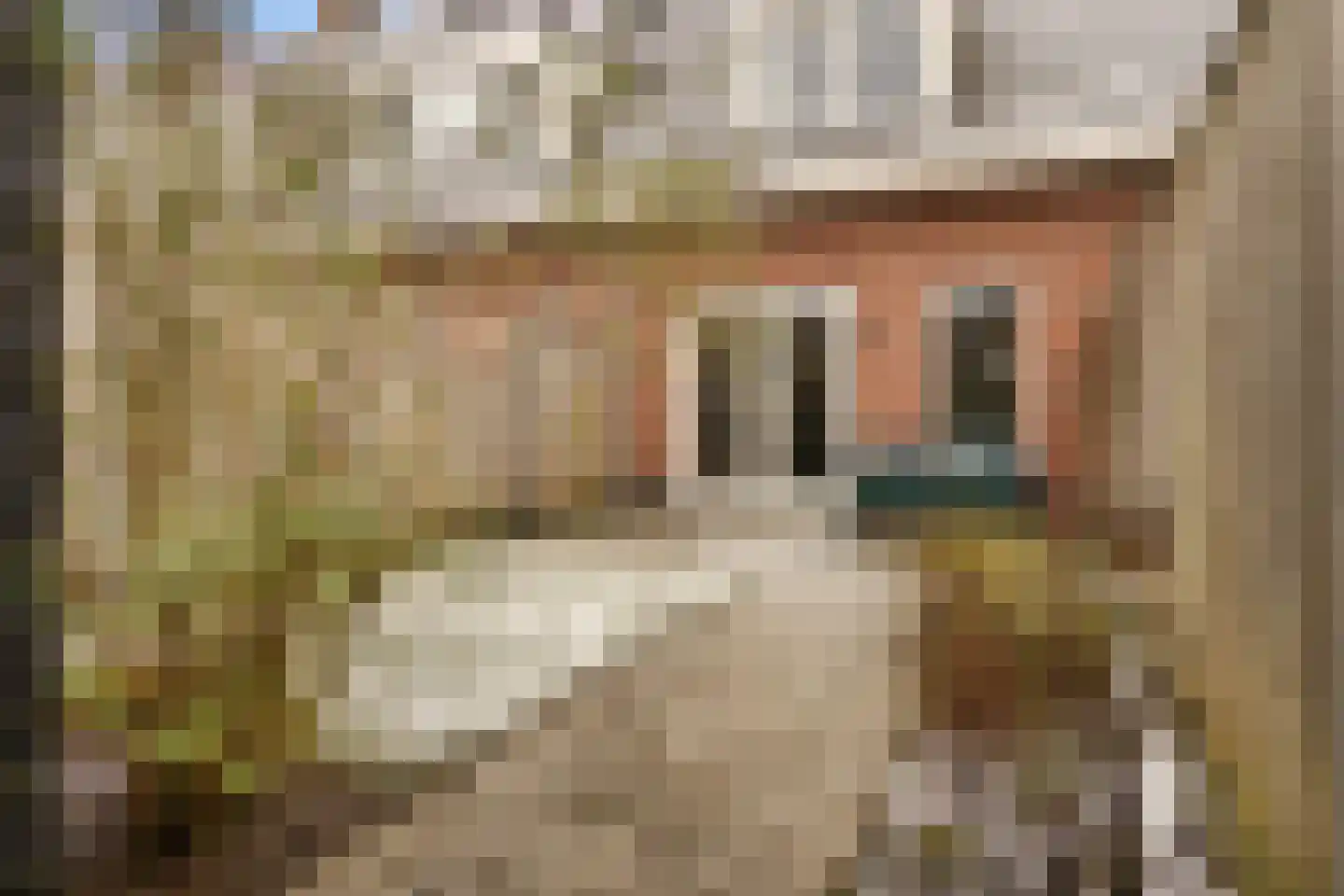 Smellekenlaan 48 Venray thumbnail 36