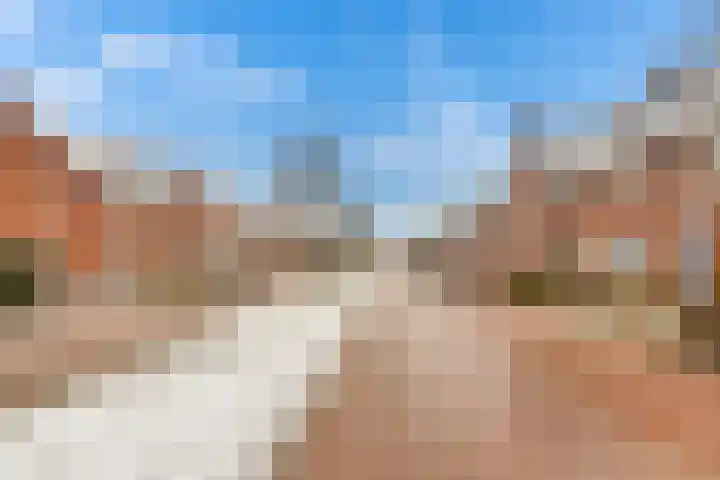 Smellekenlaan 48 Venray thumbnail 43