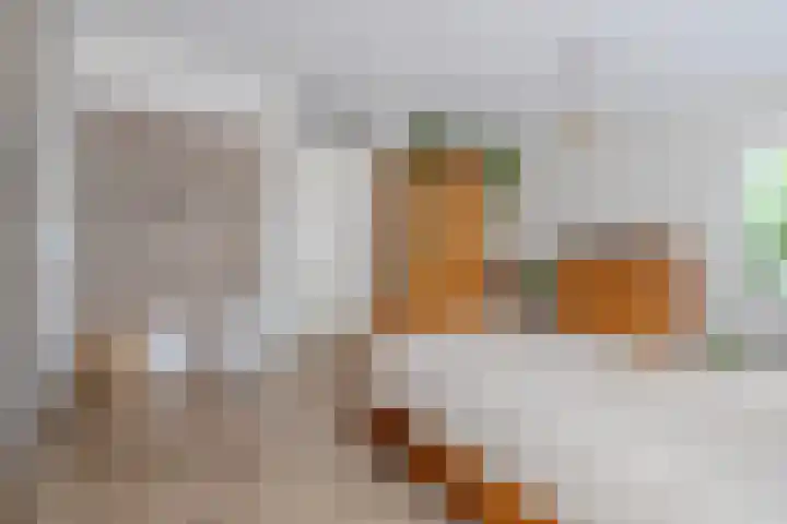 Smeltersdonk 104 Apeldoorn thumbnail 14