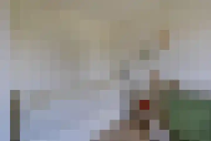 Smeltersdonk 104 Apeldoorn thumbnail 18
