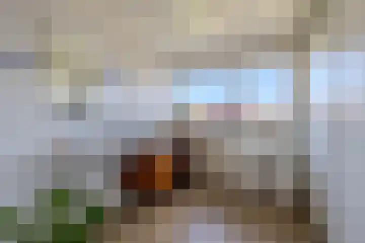 Smeltersdonk 104 Apeldoorn thumbnail 23