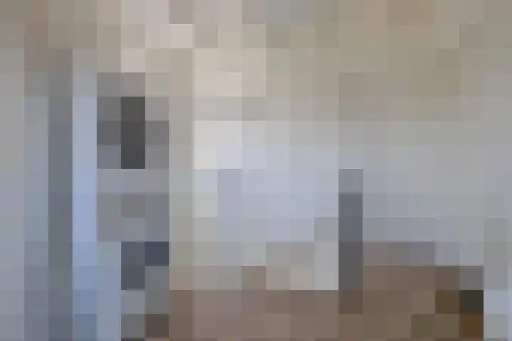 Smeltersdonk 104 Apeldoorn thumbnail 24