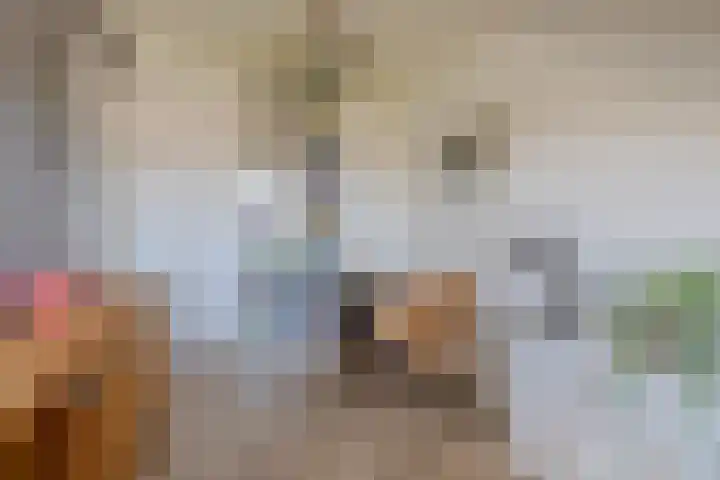 Smeltersdonk 104 Apeldoorn thumbnail 29