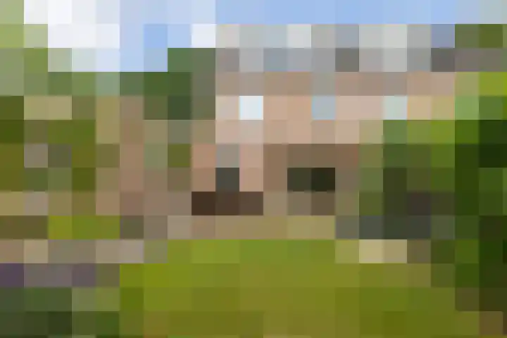 Smeltersdonk 104 Apeldoorn thumbnail 30