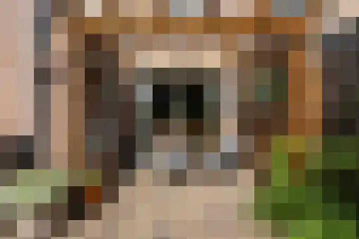 Smeltersdonk 104 Apeldoorn thumbnail 31