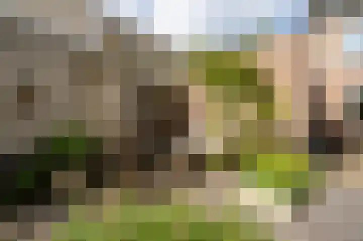 Smeltersdonk 104 Apeldoorn thumbnail 33