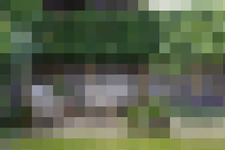 Smeltersdonk 104 Apeldoorn thumbnail 35