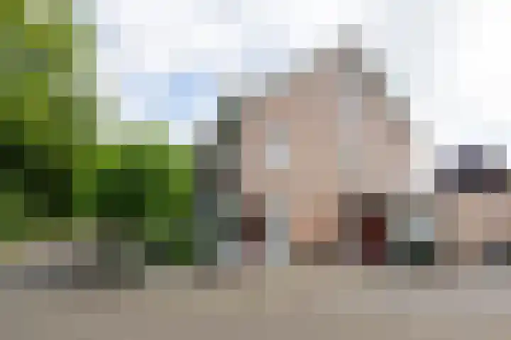 Smeltersdonk 104 Apeldoorn thumbnail 43