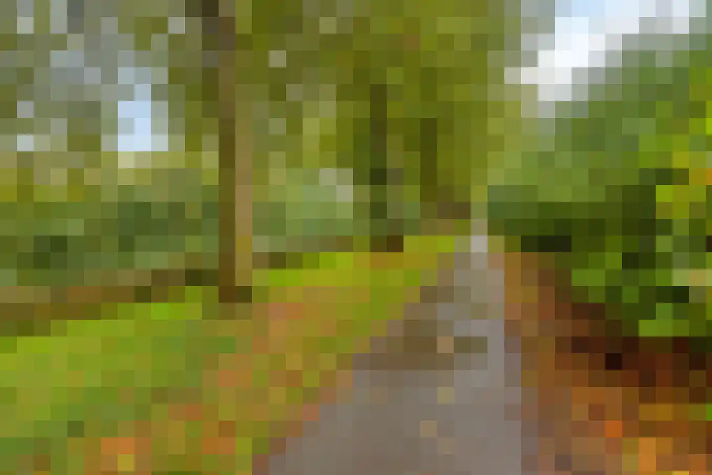 Smeltersdonk 117 Apeldoorn thumbnail 41
