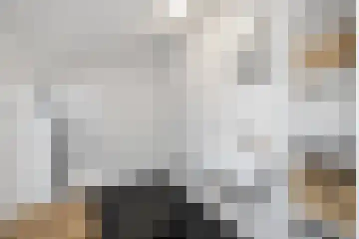 Smelterssteeg 6 Hoorn thumbnail 11