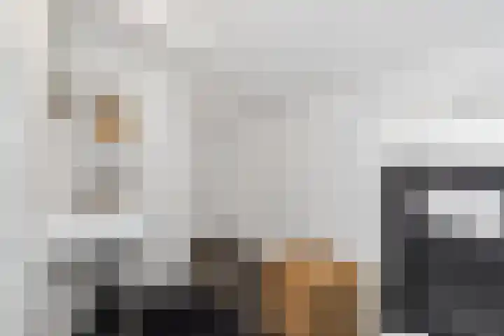 Smelterssteeg 6 Hoorn thumbnail 12