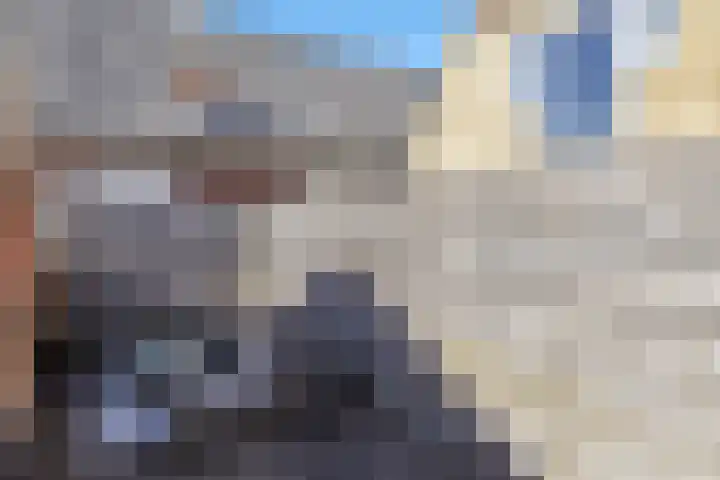 Smelterssteeg 6 Hoorn thumbnail 21
