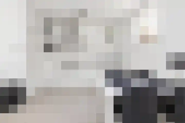 Smelterssteeg 6 Hoorn thumbnail 6