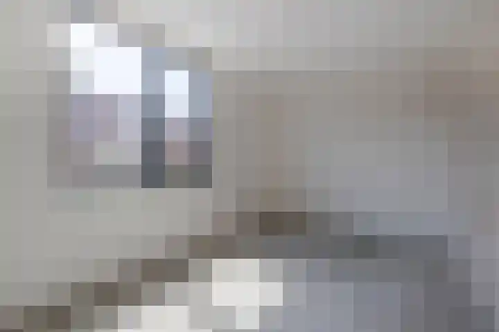 Smeltoven 2 Hardinxveld-Giessendam thumbnail 21