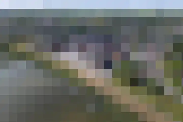 Smeltoven 2 Hardinxveld-Giessendam thumbnail 36