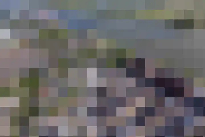 Smeltoven 2 Hardinxveld-Giessendam thumbnail 37
