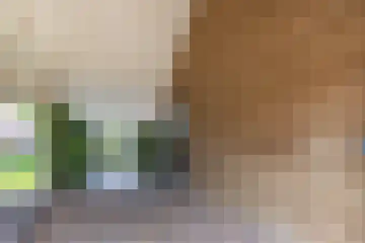 Smeltwater 10 Houten thumbnail 27