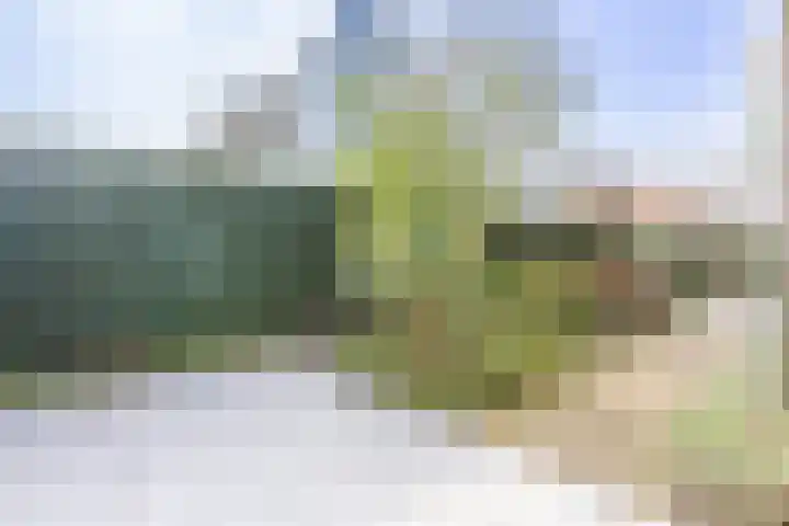 Smeltwater 10 Houten thumbnail 29
