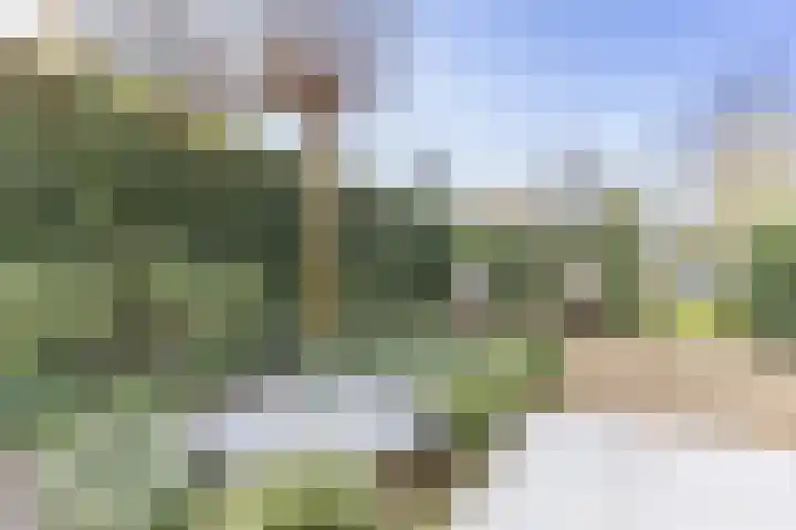 Smeltwater 10 Houten thumbnail 31