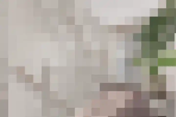 Smeltwater 10 Houten thumbnail 32