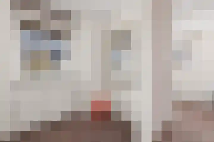 Smeltwater 10 Houten thumbnail 38