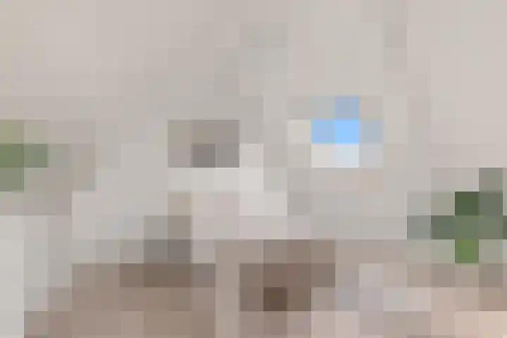 Smeltwater 10 Houten thumbnail 42
