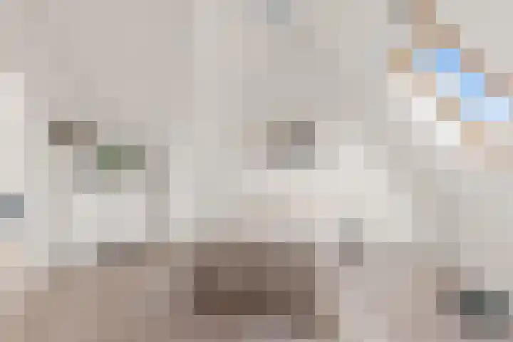 Smeltwater 10 Houten thumbnail 43