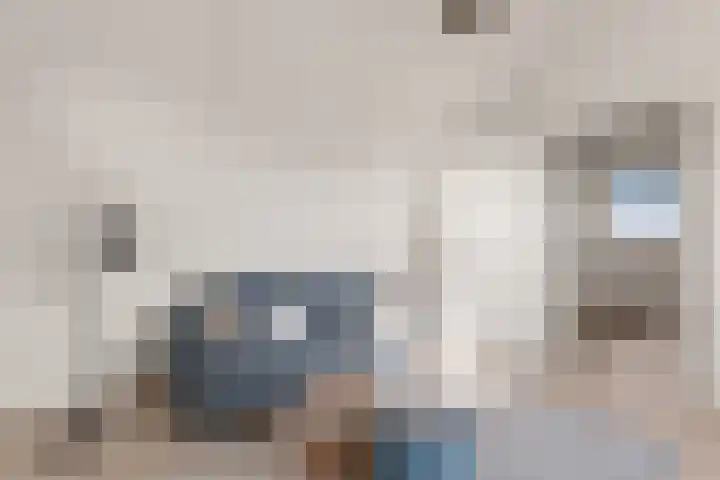 Smeltwater 10 Houten thumbnail 46